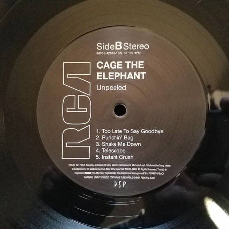 Cage The Elephant - Unpeeled (0889854281915) виниловая пластинка - фото 6