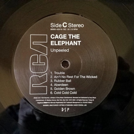 Cage The Elephant - Unpeeled (0889854281915) виниловая пластинка - фото 7