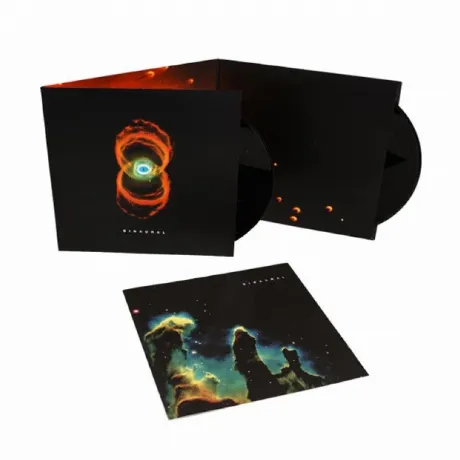 Pearl Jam - Binaural (0889854091217) виниловая пластинка