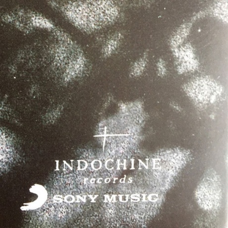 Indochine - 7000 Danses (0888751098015) виниловая пластинка - фото 3