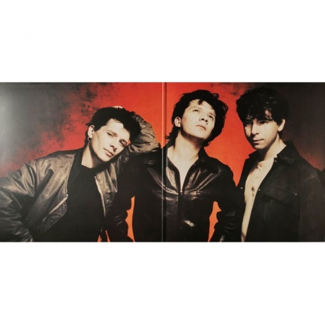 Indochine - Un Jour Dans Notre Vie (0888751101111) виниловая пластинка - фото 3