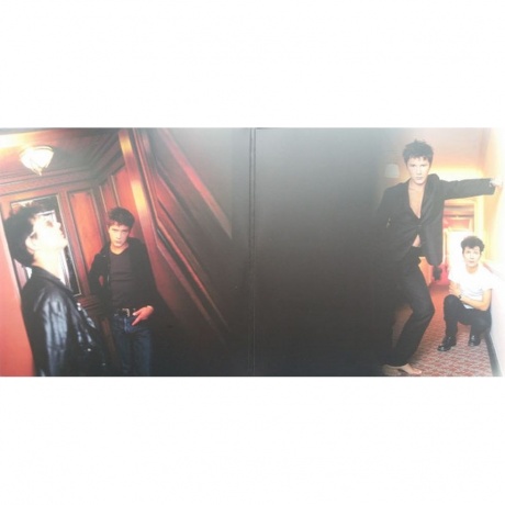 Indochine - Wax (0889853029716) виниловая пластинка - фото 3