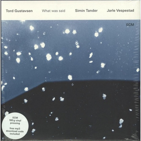 Tord Gustavsen - What Was Said (0602547665324) виниловая пластинка - фото 1