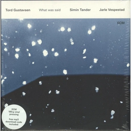 Tord Gustavsen - What Was Said (0602547665324) виниловая пластин...