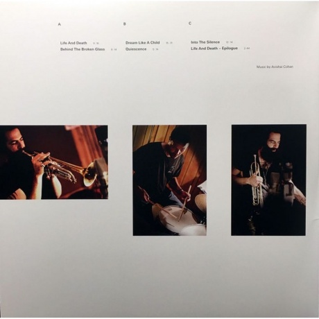 Avishai Cohen - Into The Silence (0602547600912) виниловая пластинка - фото 2