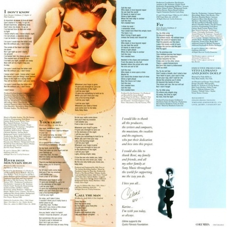Celine Dion - Falling Into You (0190758638614) виниловая пластинка - фото 10