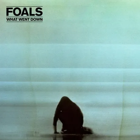 Foals, What Went Down (0825646075034) виниловая пластинка