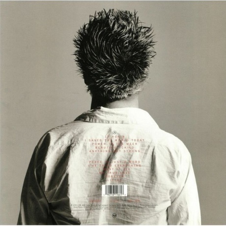 Eurythmics - Peace (0190758116617) виниловая пластинка - фото 2