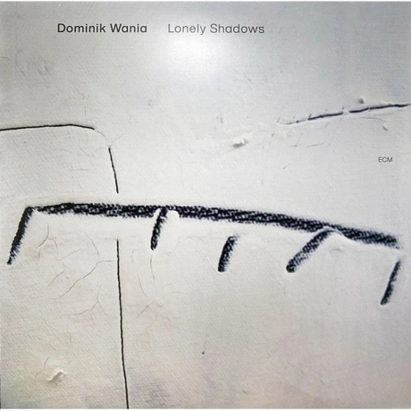 Dominik Wania - Lonely Shadows (0602508895609) виниловая пластин...