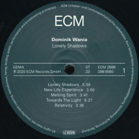 Dominik Wania - Lonely Shadows (0602508895609) виниловая пластинка - фото 3