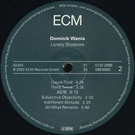 Dominik Wania - Lonely Shadows (0602508895609) виниловая пластинка - фото 4