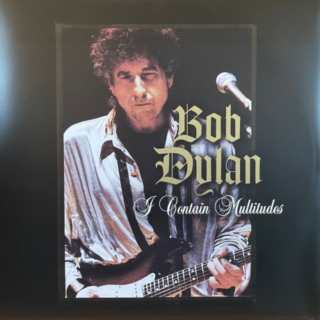 Bob Dylan - Rough And Rowdy Ways (0194397809916) виниловая пластинка - фото 12
