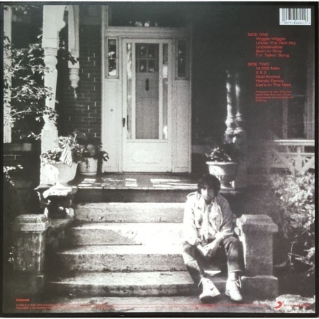 Bob Dylan - Under The Red Sky (0190758469416) виниловая пластинка - фото 2
