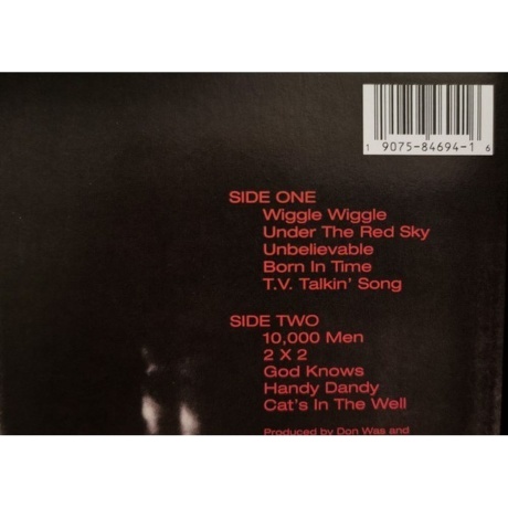 Bob Dylan - Under The Red Sky (0190758469416) виниловая пластинка - фото 7