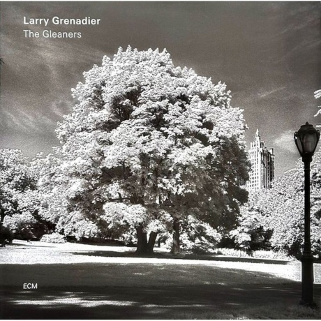 Larry Grenadier - The Gleaners (0602577064227) виниловая пластинка - фото 1