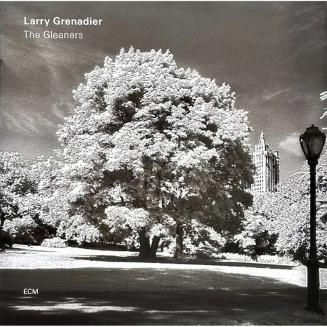 Larry Grenadier - The Gleaners (0602577064227) виниловая пластин...