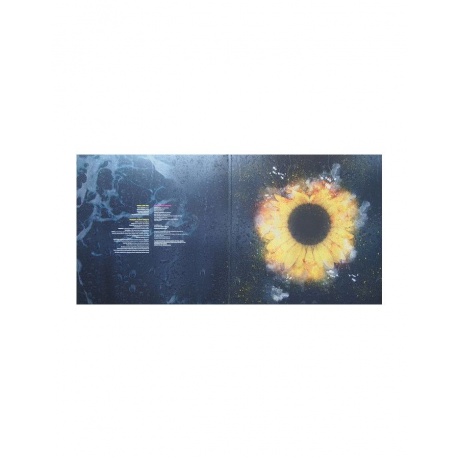 Виниловая пластинка Marillion, Afraid Of Sunlight (0190295443108) - фото 2