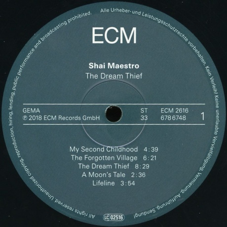 Shai Maestro - The Dream Thief (0602567867487) виниловая пластинка - фото 3