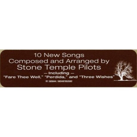Stone Temple Pilots - Perdida (0603497853502) виниловая пластинка - фото 7