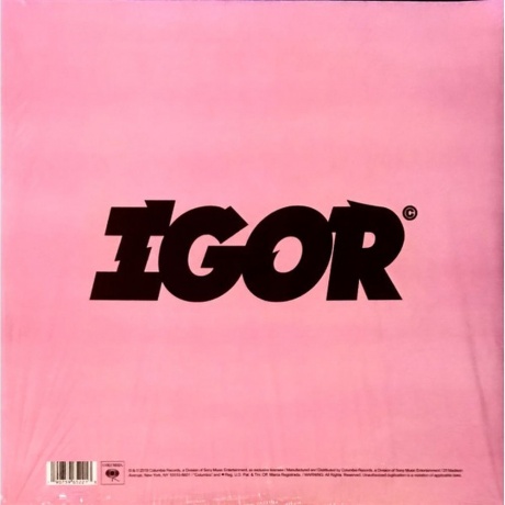 The Creator Tyler - Igor (0190759652213) виниловая пластинка - фото 4
