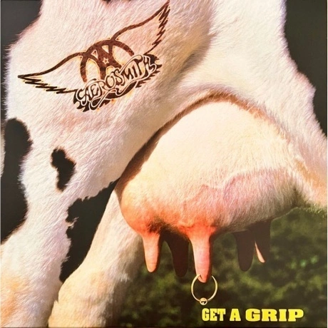Aerosmith - Get A Grip (0602547954398) виниловая пластинка