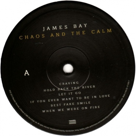 James Bay - Chaos And The Calm (0602547184979) виниловая пластинка - фото 2