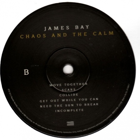 James Bay - Chaos And The Calm (0602547184979) виниловая пластинка - фото 3