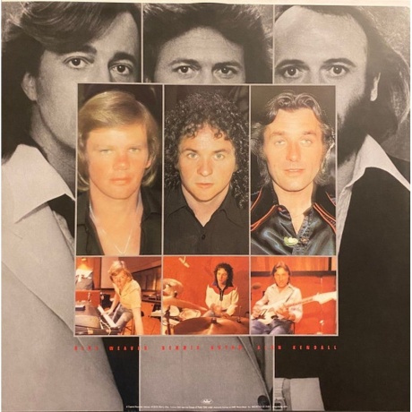 Bee Gees - Spirits Having Flown (0602508005657) виниловая пластинка - фото 7
