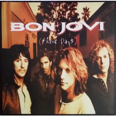Bon Jovi - These Days (0602547029454) виниловая пластинка