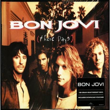 Bon Jovi - These Days (0602547029454) виниловая пластинка - фото 13