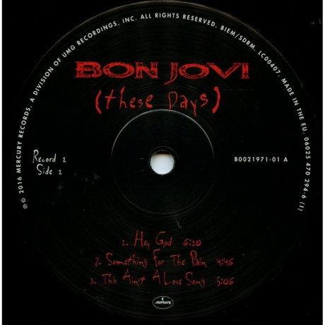 Bon Jovi - These Days (0602547029454) виниловая пластинка - фото 19