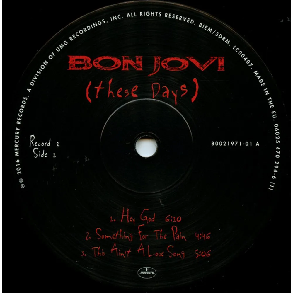 Bon Jovi - These Days (0602547029454) виниловая пластинка - фото 19