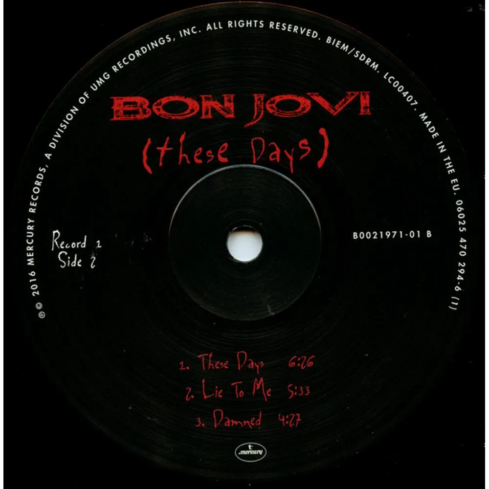Bon Jovi - These Days (0602547029454) виниловая пластинка - фото 20