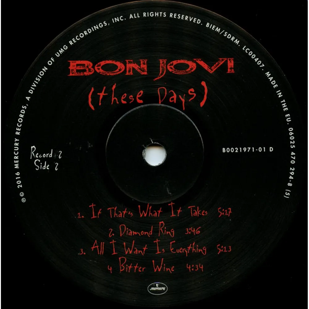 Bon Jovi - These Days (0602547029454) виниловая пластинка - фото 21