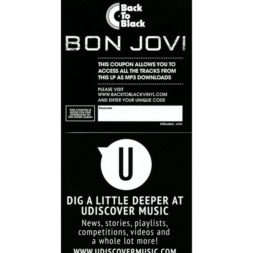 Bon Jovi - These Days (0602547029454) виниловая пластинка - фото 22