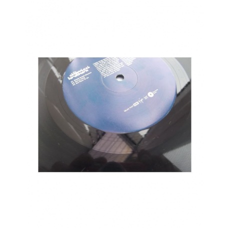 Виниловая пластинка The Chemical Brothers, Push The Button (0724356330214) - фото 13