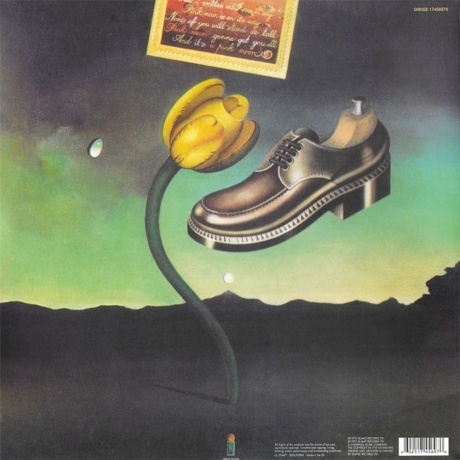 Nick Drake - Pink Moon (0602517456976) виниловая пластинка - фото 4