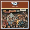 Marvin Gaye - I Want You (0600753534274) виниловая пластинка