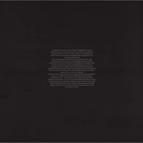 Lorde - Pure Heroine (0602537539857) виниловая пластинка - фото 13