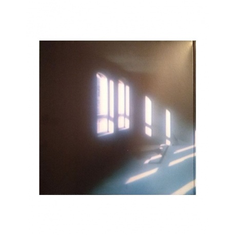 Виниловая пластинка Agnes Obel, Myopia (0028948371754) - фото 4