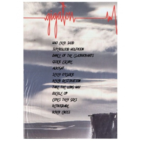 Виниловая пластинка Pearl Jam, Gigaton (0602508630231) - фото 11