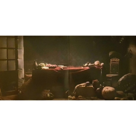 Rammstein - Liebe Ist Fur Alle Da (0602527296784) виниловая пластинка - фото 2