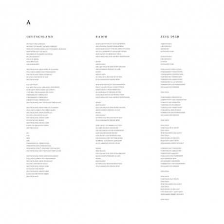 Rammstein - Rammstein (0602577493942) виниловая пластинка - фото 8