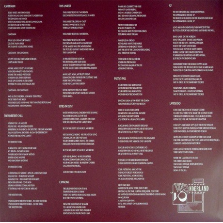 Виниловая пластинка Siouxsie And The Banshees, Tinderbox (0602557128635) - фото 7