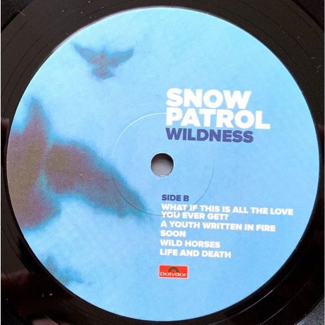 Snow Patrol - Wildness (0602567412472) виниловая пластинка - фото 4