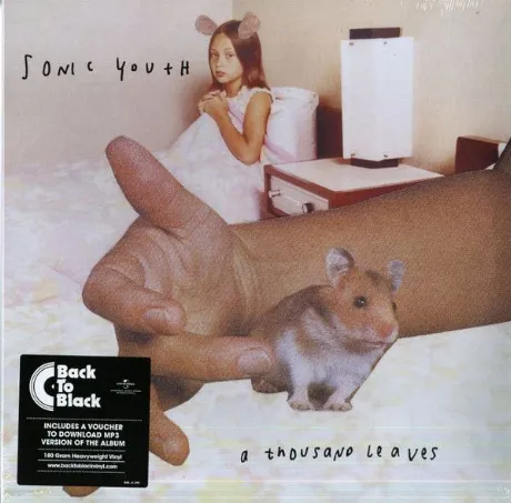 Sonic Youth - A Thousand Leaves (0602547431042) виниловая пласти...