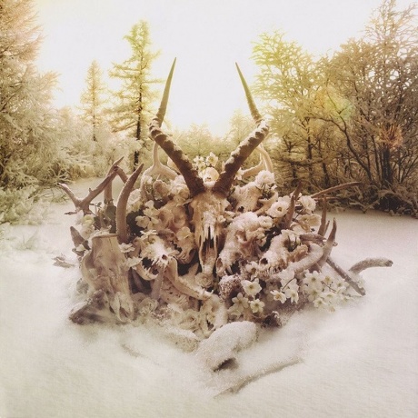 Soundgarden - King Animal (0602537198184) виниловая пластинка - фото 8