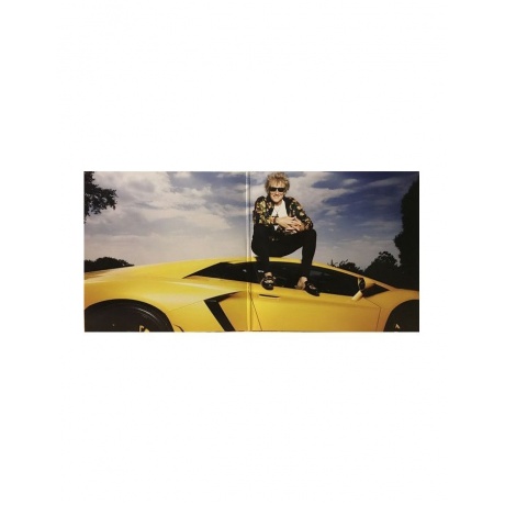 Виниловая пластинка Rod Stewart, Blood Red Roses (0602567909736) - фото 2