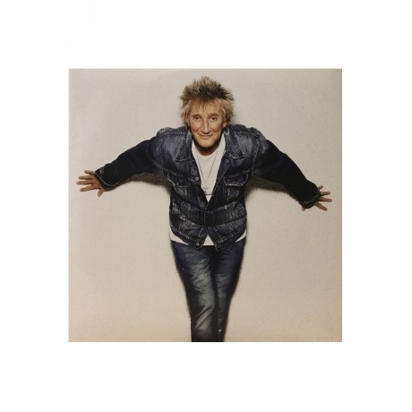 Виниловая пластинка Rod Stewart, Blood Red Roses (0602567909736) - фото 3