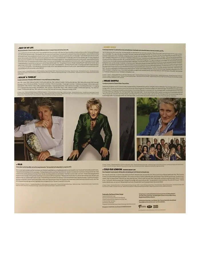 Виниловая пластинка Rod Stewart, Blood Red Roses (0602567909736) - фото 4
